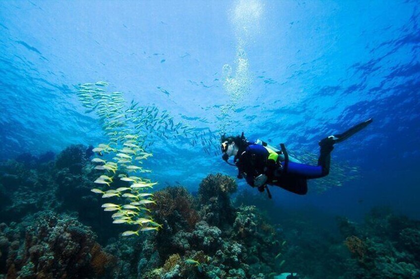 Explore Further PADI Advanced Diving Course - Marsa Alam