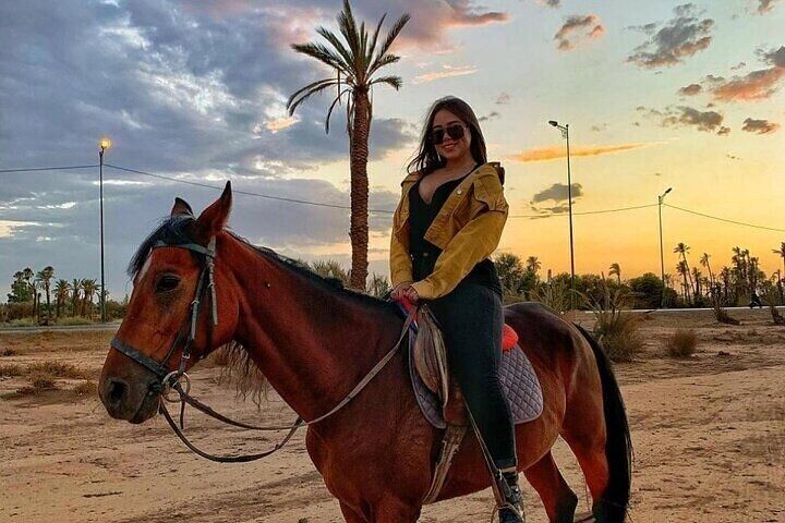 Horse Riding in Palmeraie Grove for 1 Hour & Transfer - Marrakesh