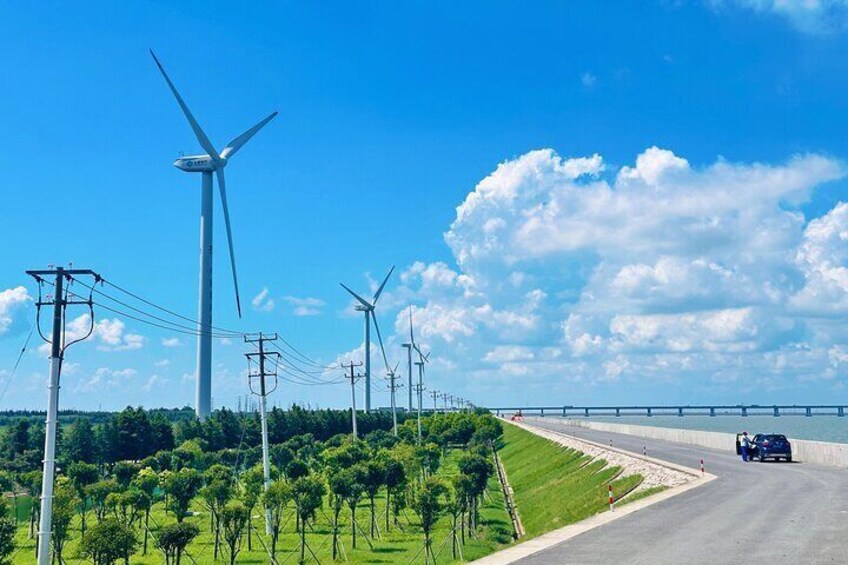 Half Day Bike Tour Around Chongming Changxing Island