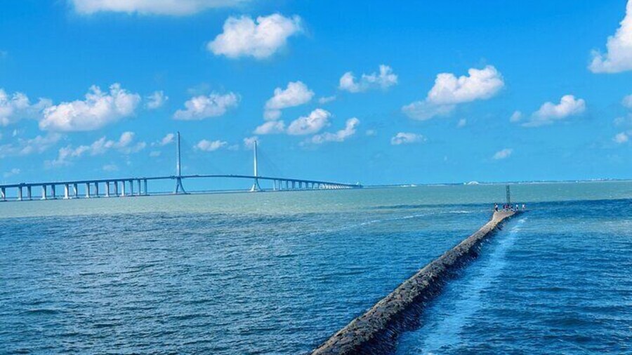 Half Day Bike Tour Around Chongming Changxing Island