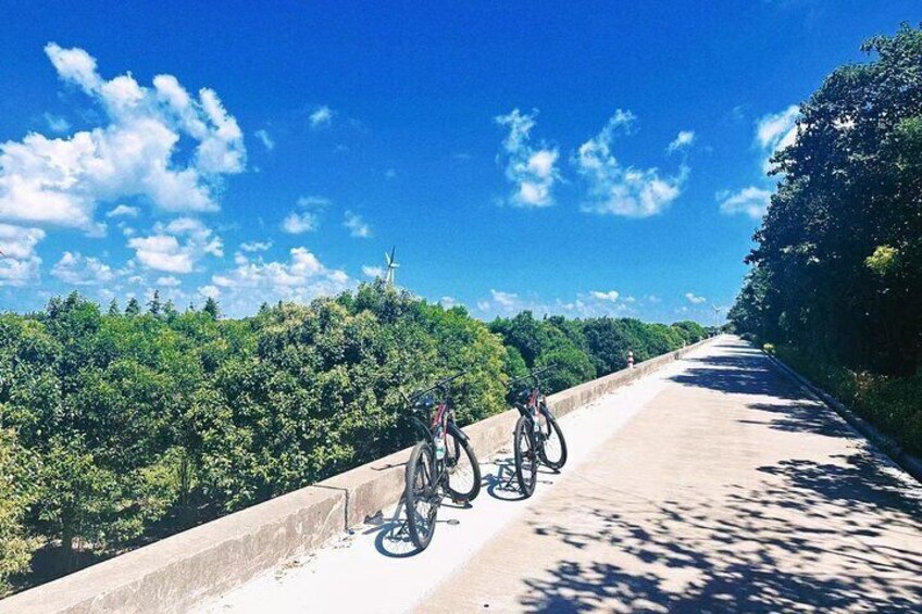 Half Day Bike Tour Around Chongming Changxing Island