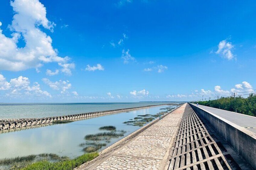 Half Day Bike Tour Around Chongming Changxing Island