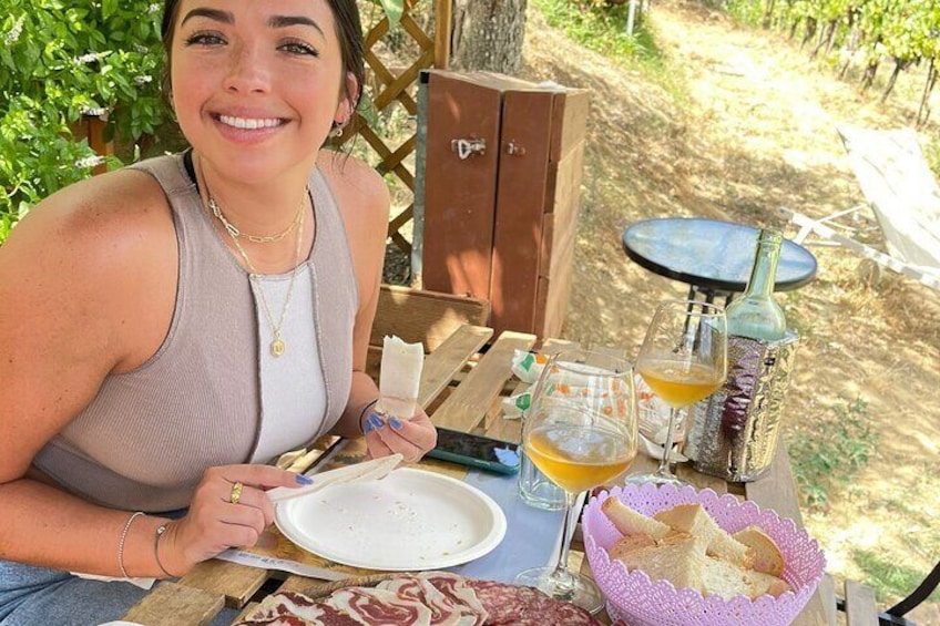 Tour of the Alpacas and the pigs of Cinta Senese in Montepulciano