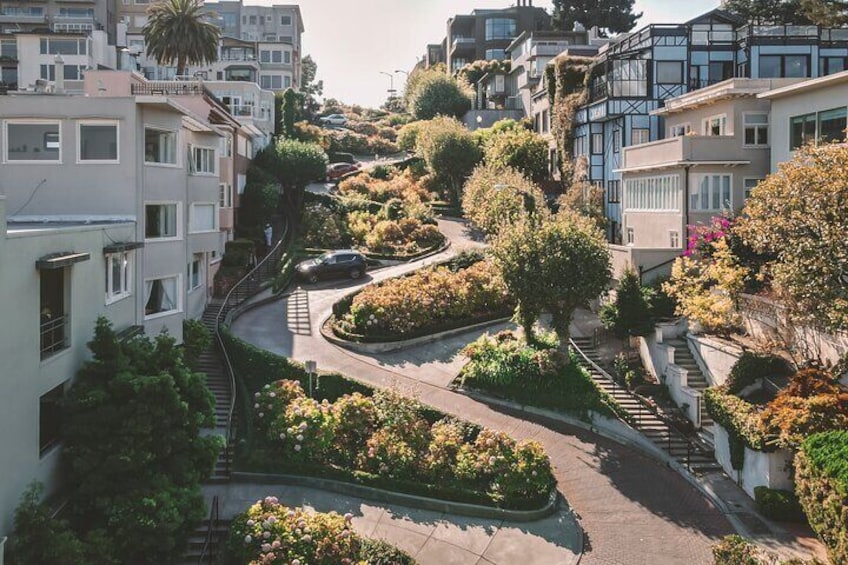 Alcatraz Ticket San Francisco Tour, Lombard Street, Coit Tower