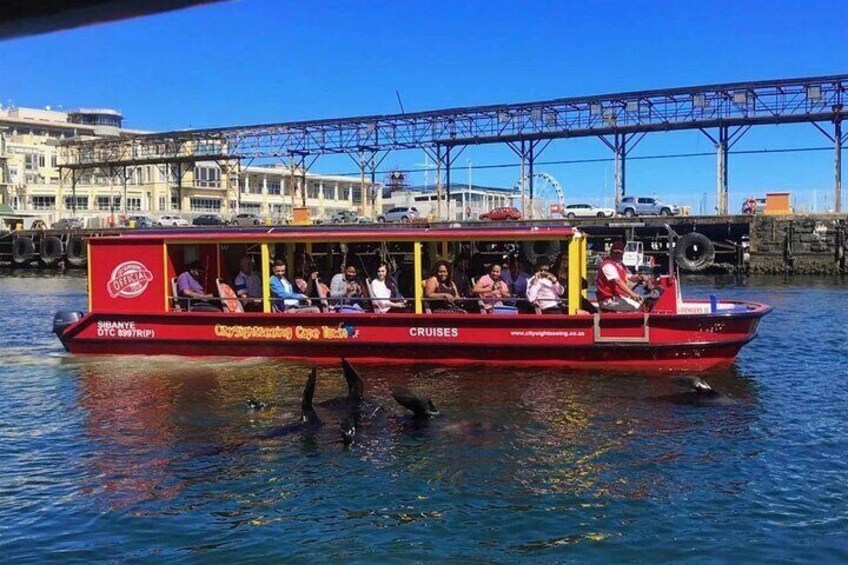 Cape town Helicopter Robben Island and Boat Cruise Included