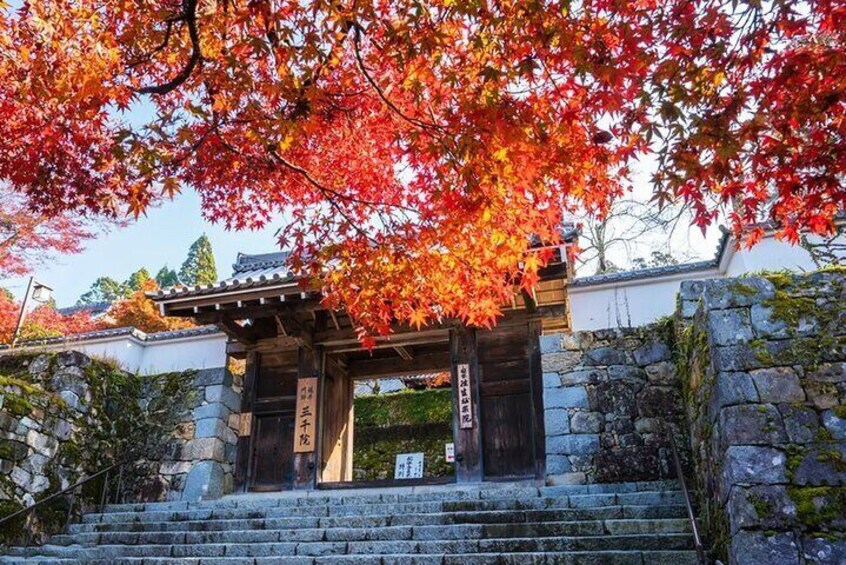 Sanzen-in Temple is located in Ohara, Rakuhoku, Kyoto, and is one of the three temples of the Tendai sect.