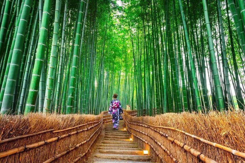 Sagano Bamboo Forest is located in Arashiyama. The bamboo forest trail is about 500 meters long. You can walk through Nonomiya Shrine to Okochi Sanso to reach Arashiyama Bamboo Forest. 