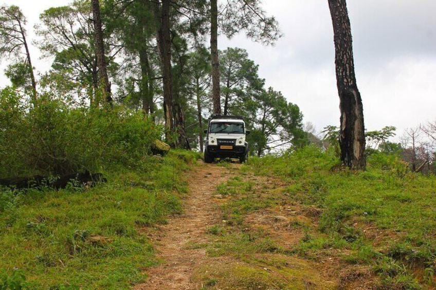 Jeep Safari and Picnics Tour