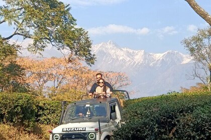 Jeep Safari and Picnic Tour