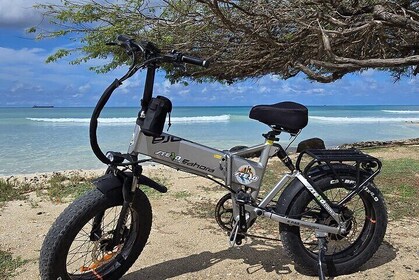 Semi-Private Malmok Noord Aruba coastal e-bike ride experience