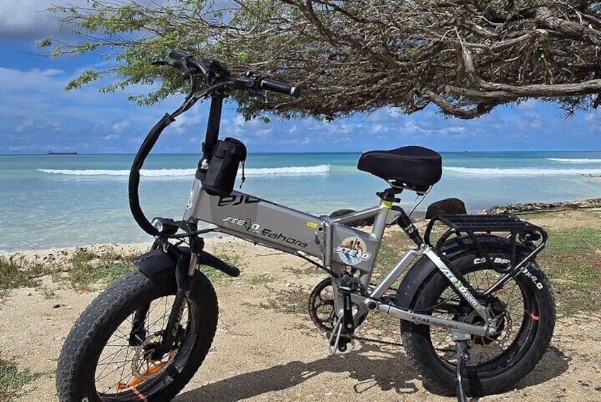 Semi-Private Malmok Noord Aruba coastal e-bike ride experience