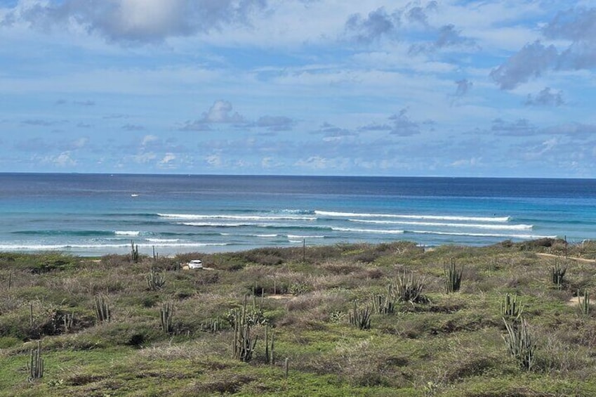 Malmok Coastal Aruba Electric Bike Experience