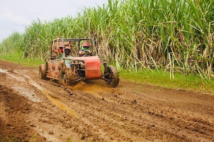 Half Day ATV or Buggy 4X4 from Bayahibe in La Romana