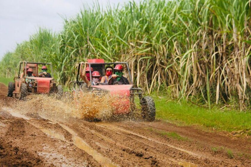 Half Day ATV or Buggy 4X4 from Bayahibe in La Romana