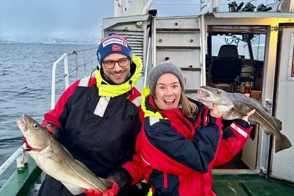 Tromso Sea Safari Tour