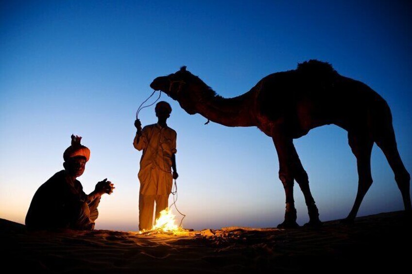Overnight Camel Safari Tour