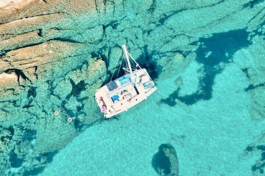 Shared Catamaran Excursion in the Gulf of Asinara from Stintino