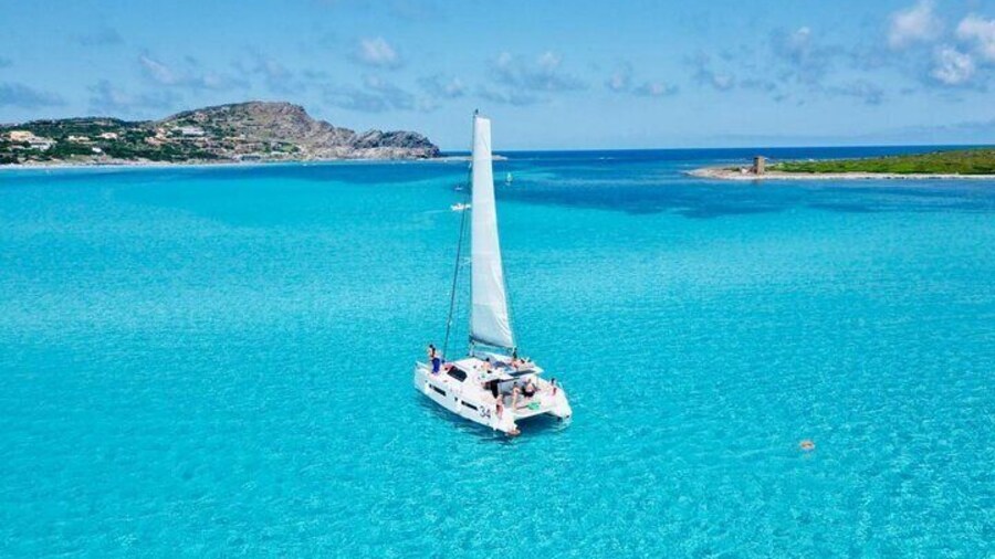 Shared Catamaran Excursion in the Gulf of Asinara from Stintino