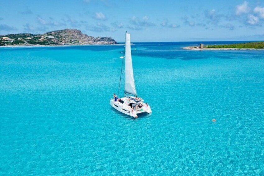Shared Catamaran Excursion in the Gulf of Asinara from Stintino