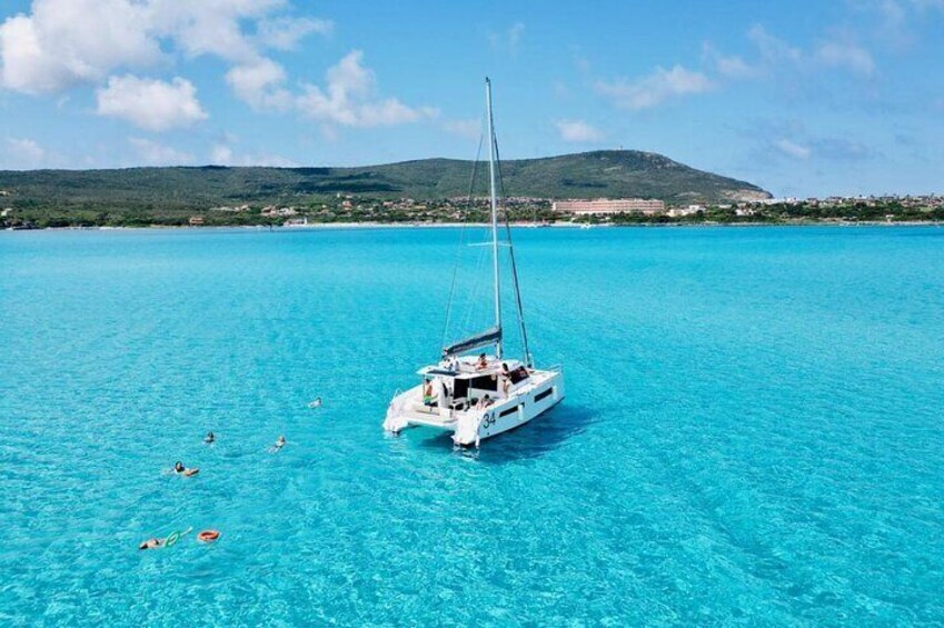 Shared Catamaran Excursion in the Gulf of Asinara from Stintino