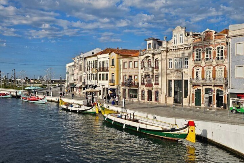 Private Tour in Aveiro, Birds and Vista Alegre