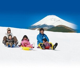 From Tokyo: Snow Experience at Mt.Fuji & Hakone Pirate Ship