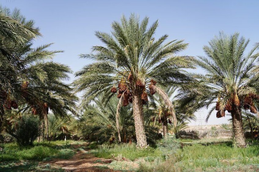 Private 3 Day Tour in Southern Tunisia or More 