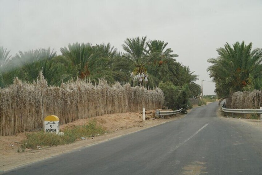 Private 3 Day Tour in Southern Tunisia or More 