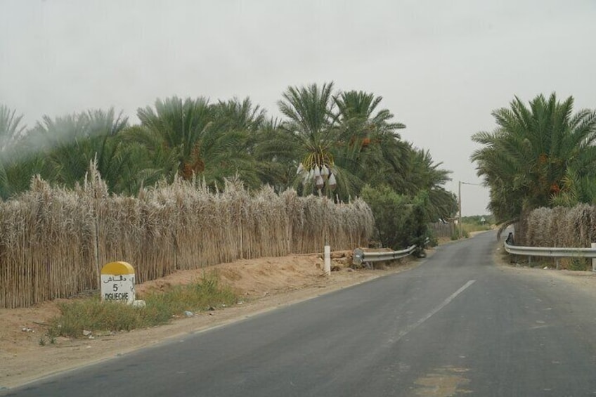 Private 3 Day Tour in Southern Tunisia or More