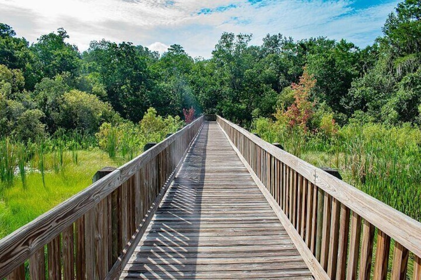 EVERGLADES French Tour from ORLANDO