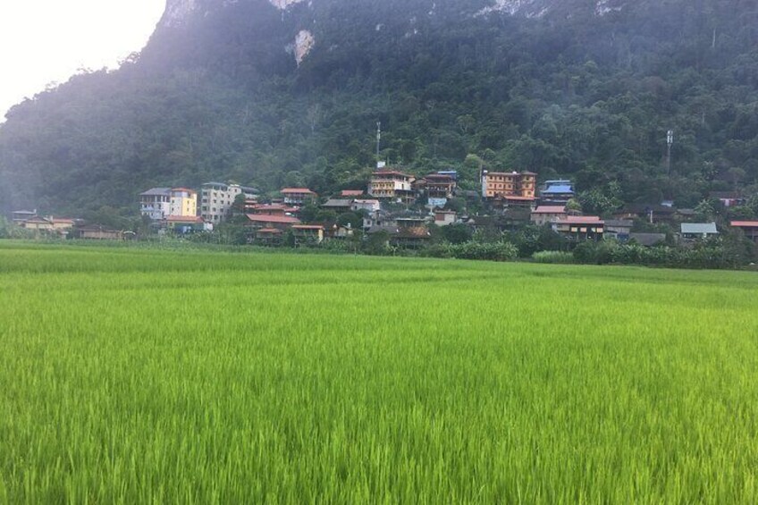 Ban Gioc Waterfall and Ba Be Lake 3 Day 2 Night Adventure