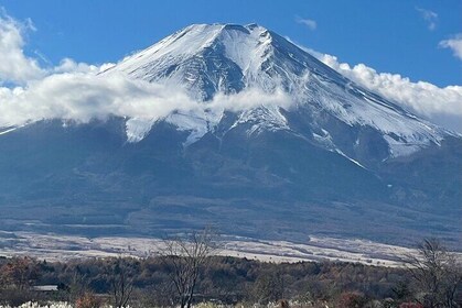 Mt Fuji Private Sightseeing Tour from Tokyo