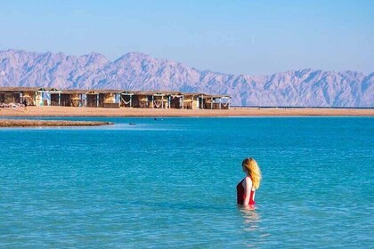 8-hour Dahab: Blue Hole Ras Abu Galum-Blue Lagoon Snorkeling Trip