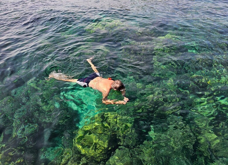 Picture 8 for Activity Koh Lanta: Koh Rok and Koh Haa Snorkeling Adventure