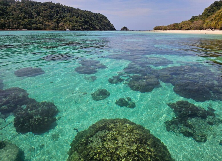 Picture 6 for Activity Koh Lanta: Koh Rok and Koh Haa Snorkeling Adventure