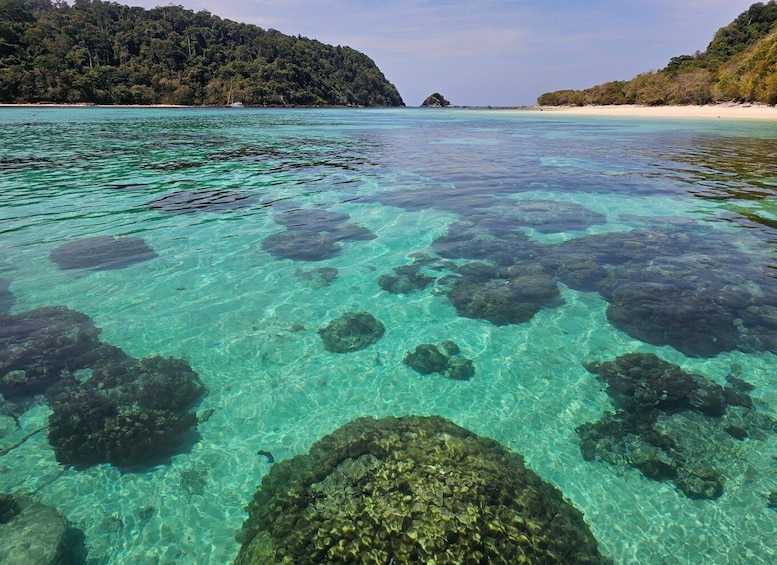 Picture 6 for Activity Koh Lanta: Koh Rok and Koh Haa Snorkeling Adventure