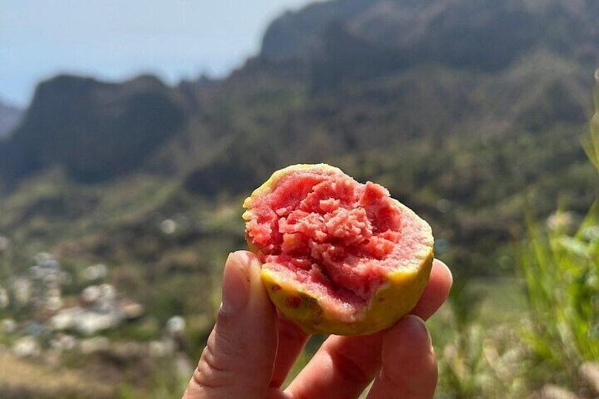 Santo Antão, Highlights by car