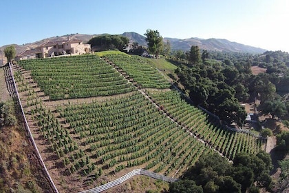 Paso Robles Gold Reserve Flight