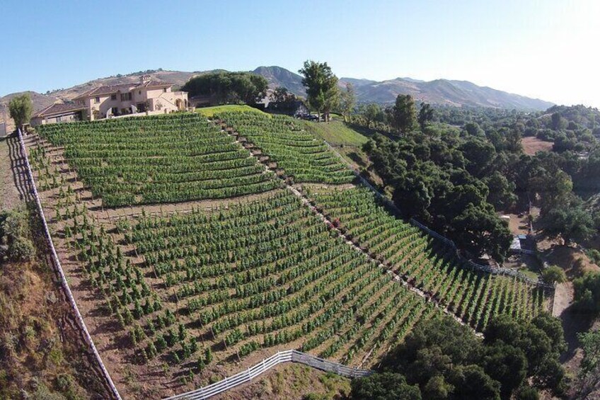 Paso Robles Gold Reserve Flight