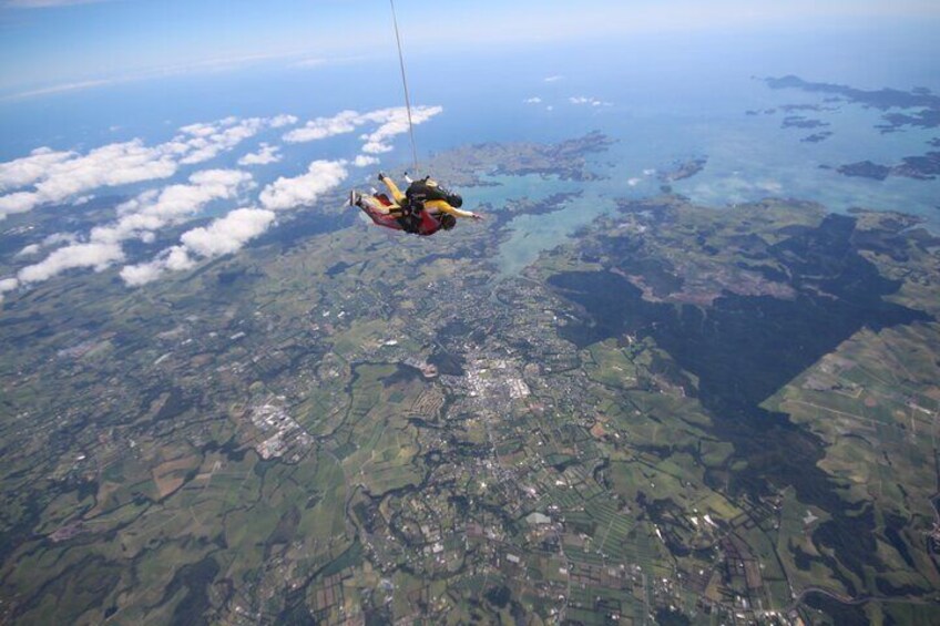 Bay of Islands: 9000ft Skydive