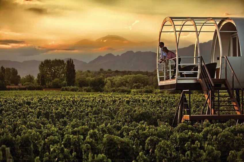 Wine and Wellness Spa Experience in Mendoza 