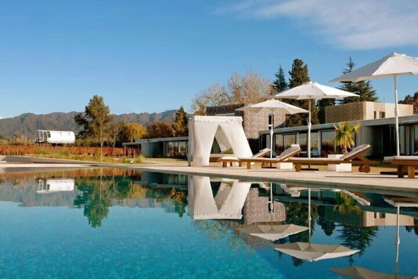 Wine and Wellness Spa Experience in Mendoza 