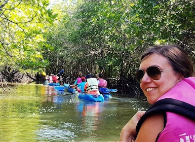 Half Day Mangrove Forest (Morning or Afternoon)
