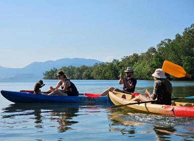 Koh Lanta: Mangrove Forest Kayaking or Longtail Boat Tour