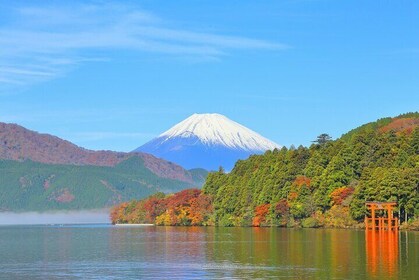 Tokyo Mt Fuji and Hakone Luxury Tour at a Leisurely Pace