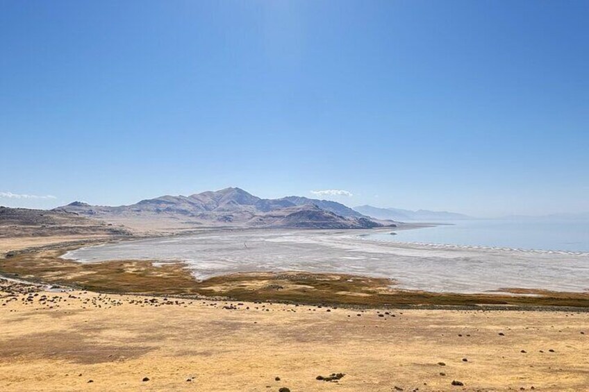 Antelope Island & Great Salt Lake Tour
