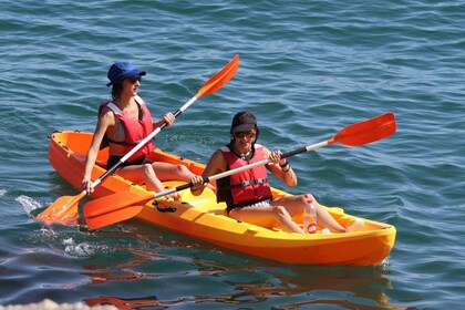 Valencia: Kayak Excursion