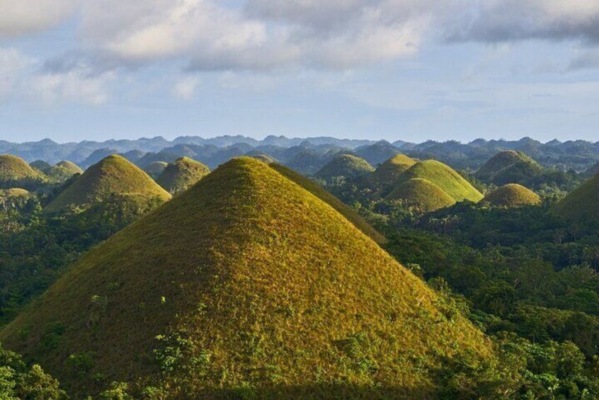 Bohol Choco Tour with Loboc River Lunch Buffet