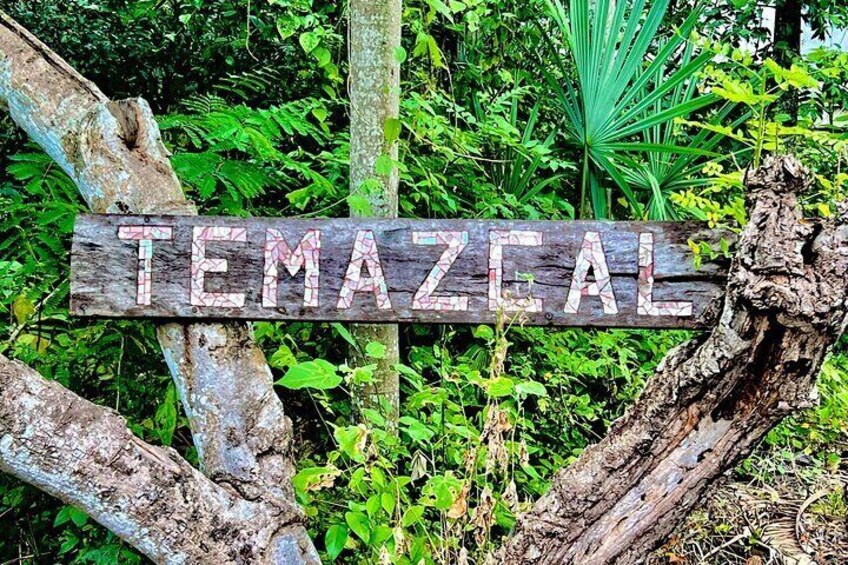 Mayan Tour on Temazcal and Cenote with Lunch