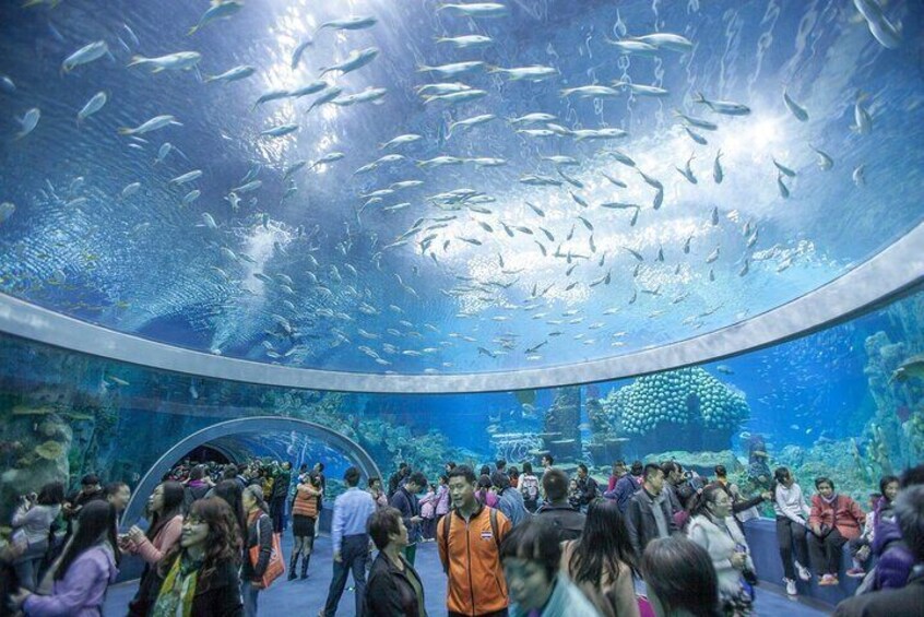 Nha Trang Highlights and Da Lat 5 Days Package Tour